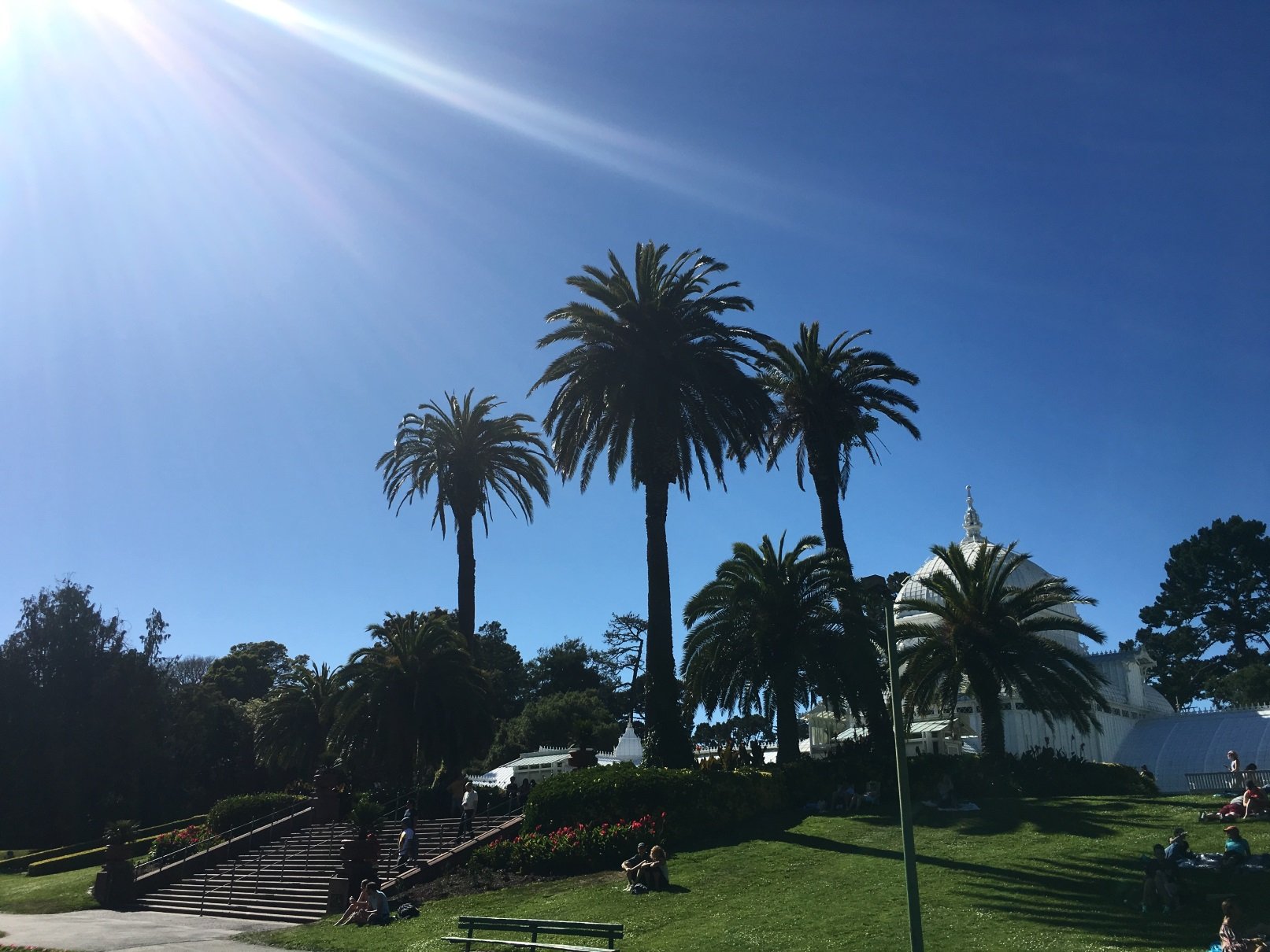 Golden Gate Park Golden Gate Park