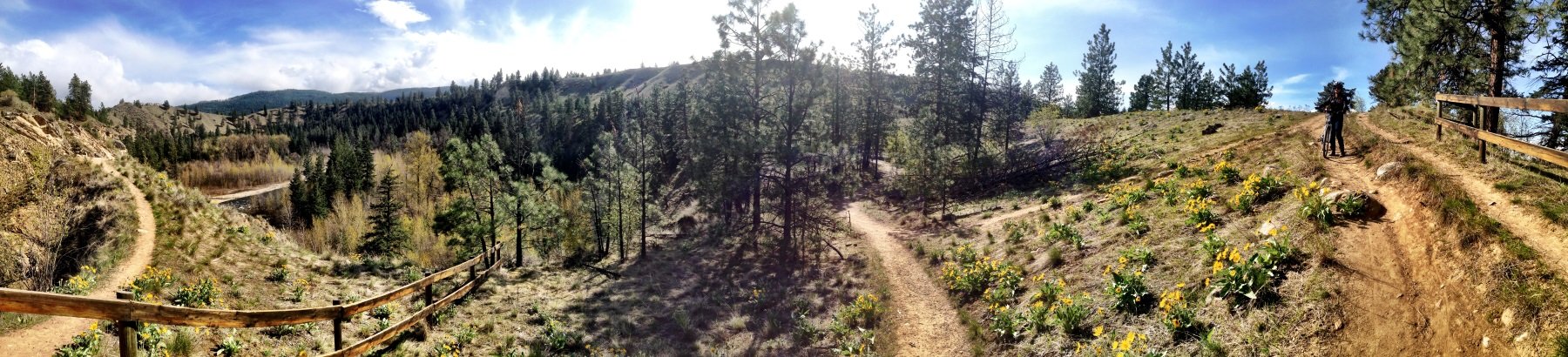 Biking around Woods