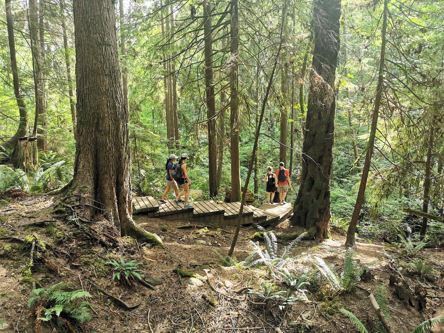 Lynn Valley hike