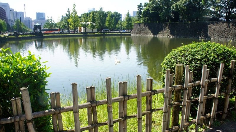 Pond at Imperial Palace