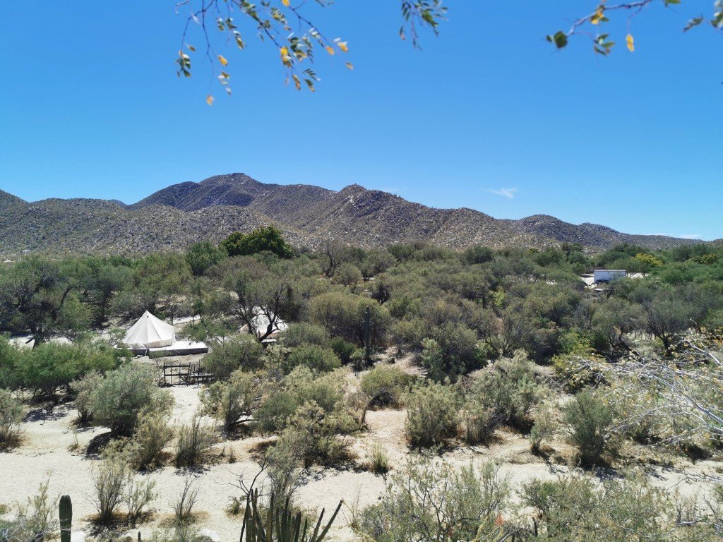 Rancho El Camino