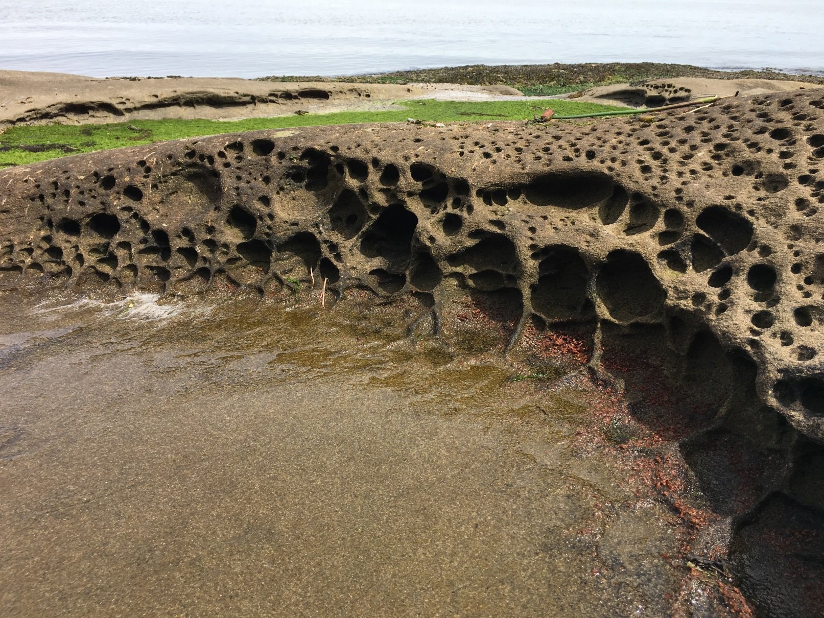 Stone Formations on the beach Stone Formations