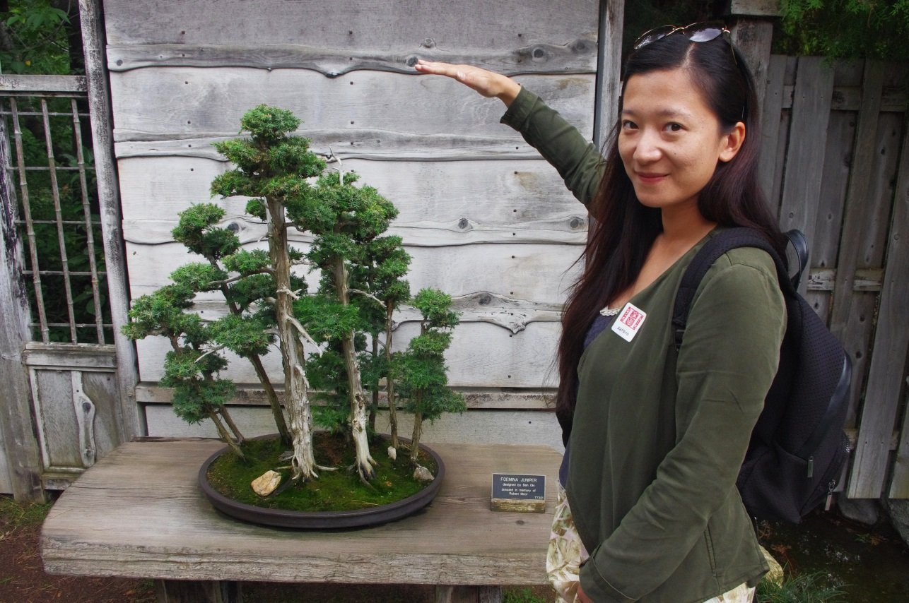 A JJ for scale Bonsai and JJ