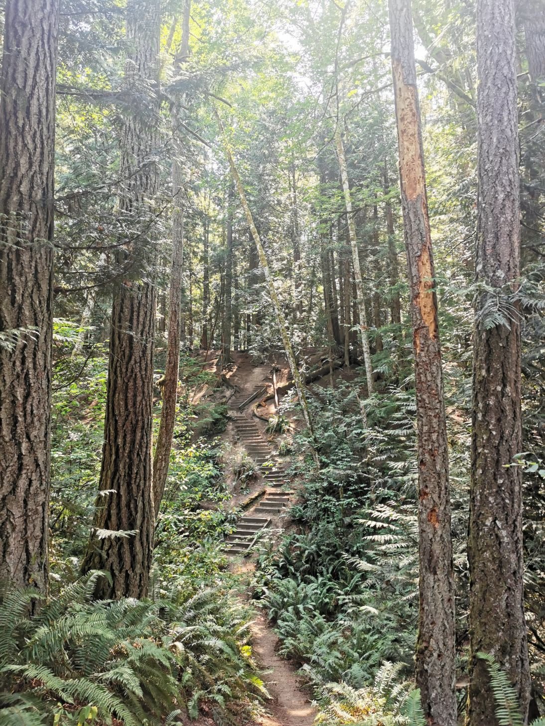 Fredericksen Wilderness Park