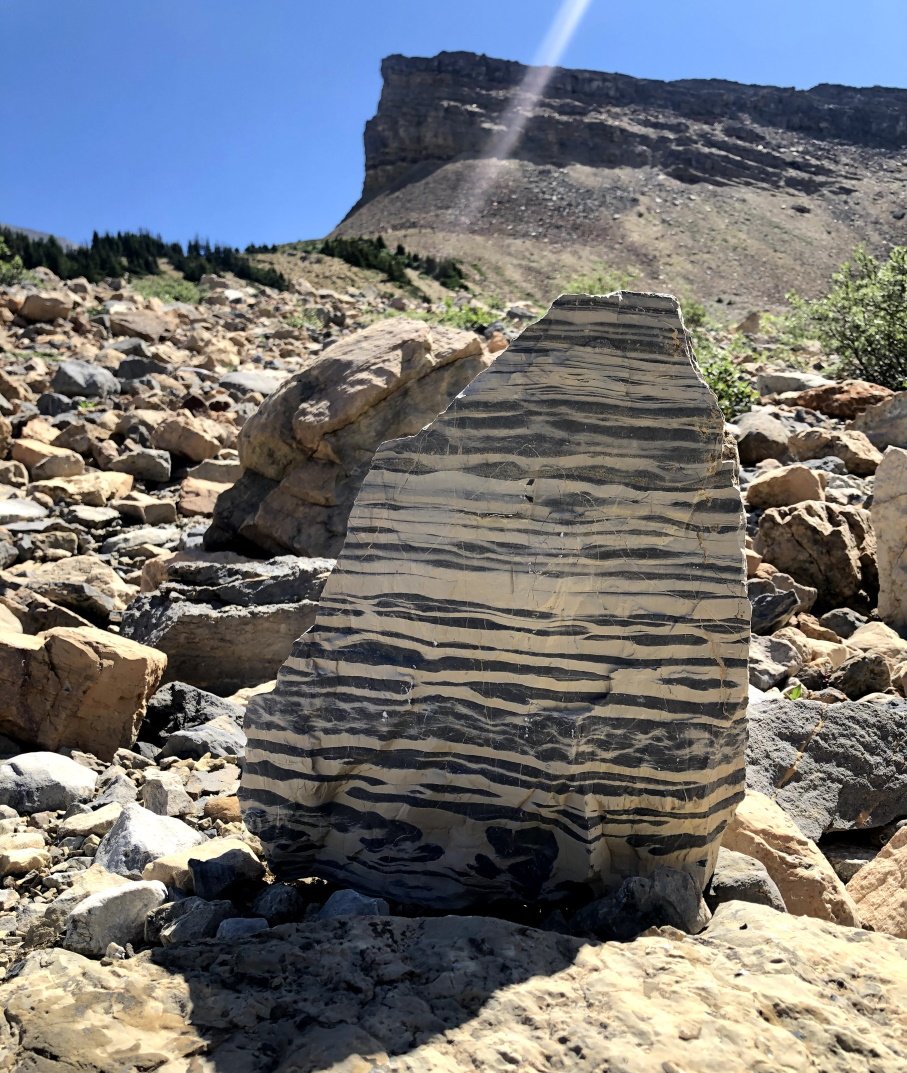 Here we came across an interesting stone. I'm sure geologist love it here Stone