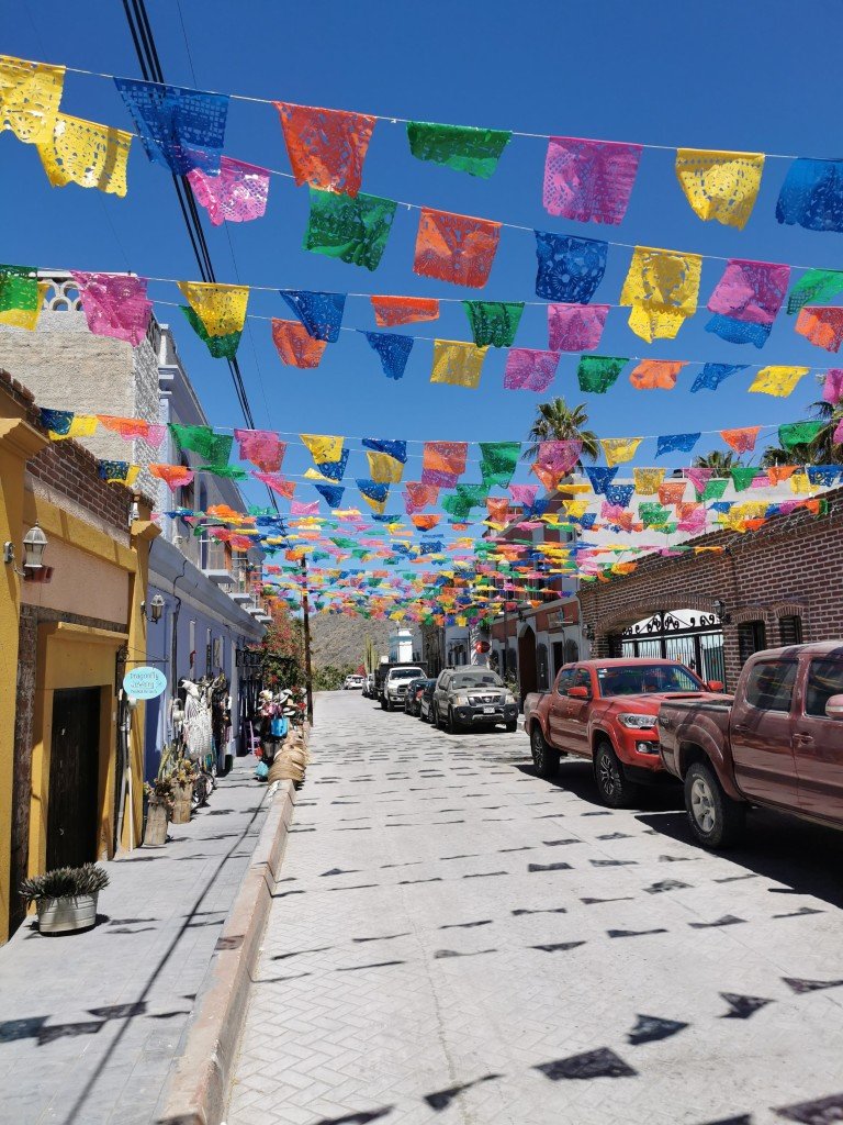 Todos Santos flags