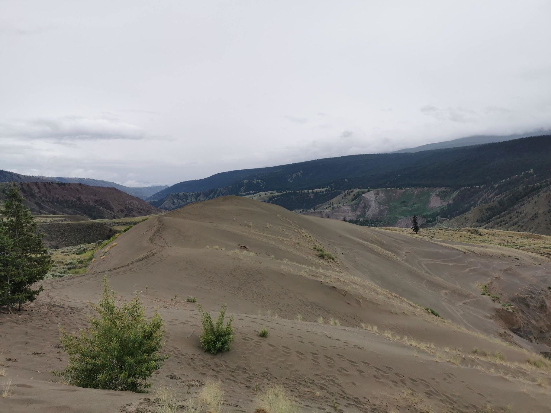 Sand Dunes2