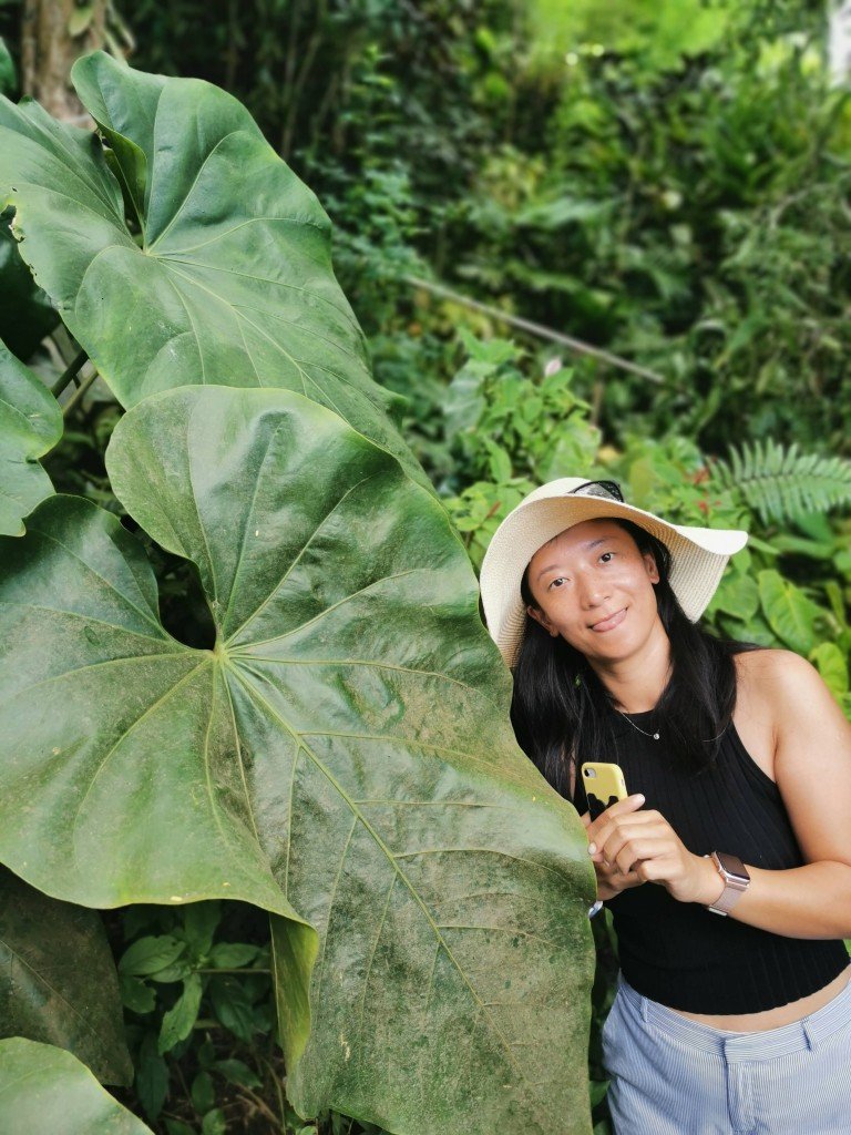 leaf