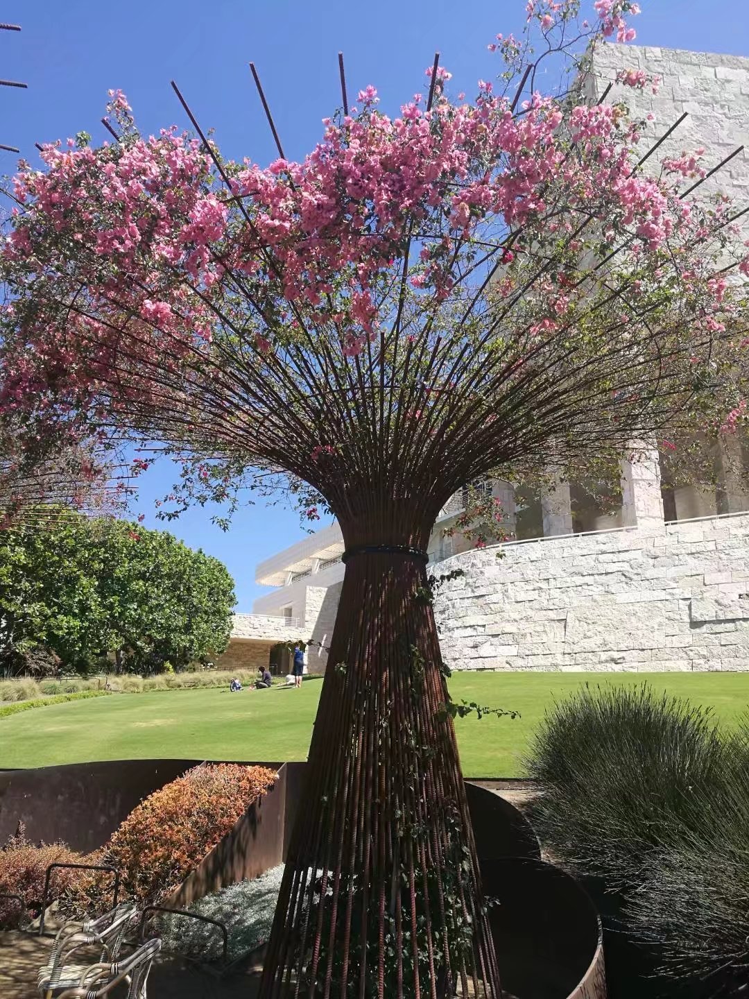 Getty Center Tree