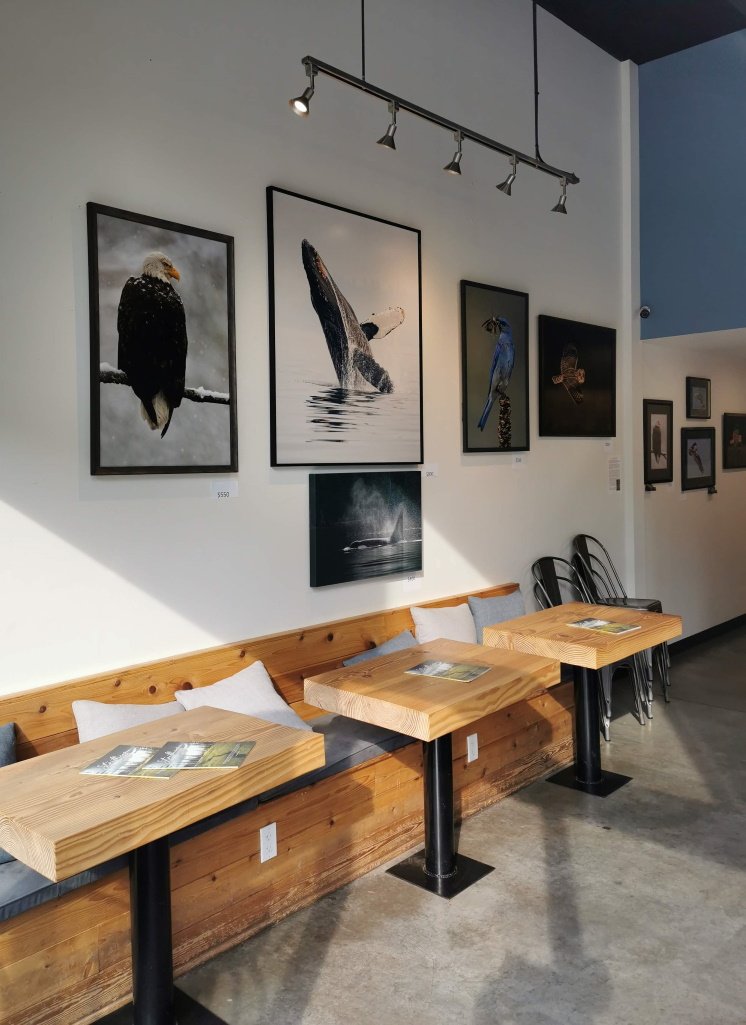 The Island Grind Coffee & Tea