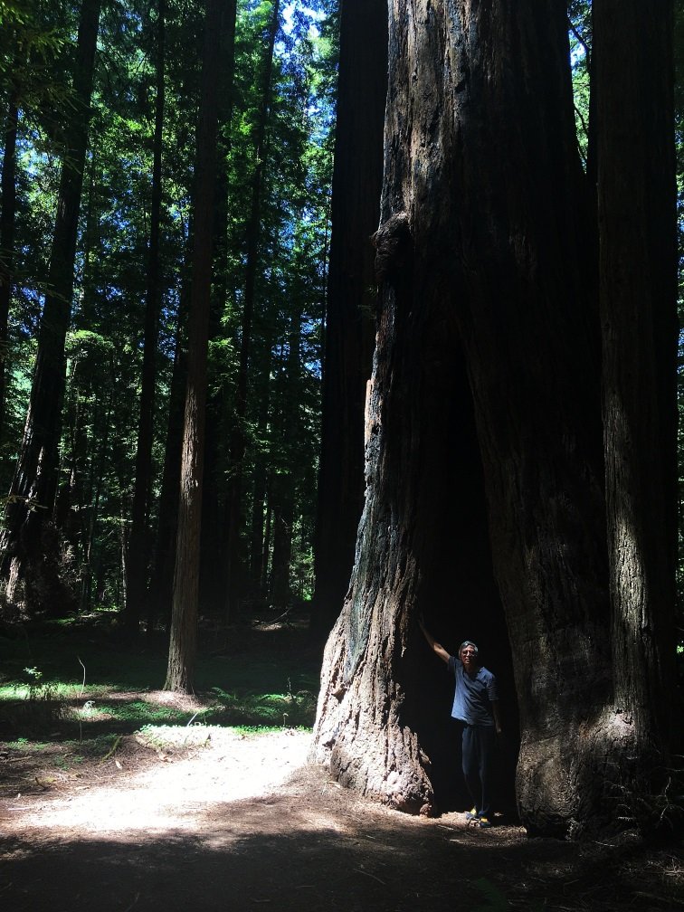 JJ Dad tree standing