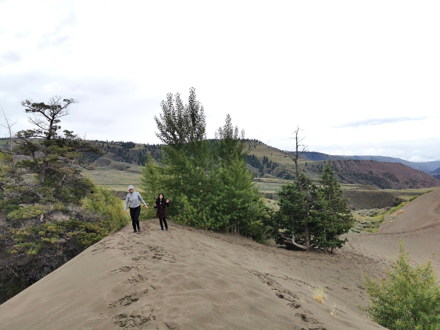 Sand Dunes