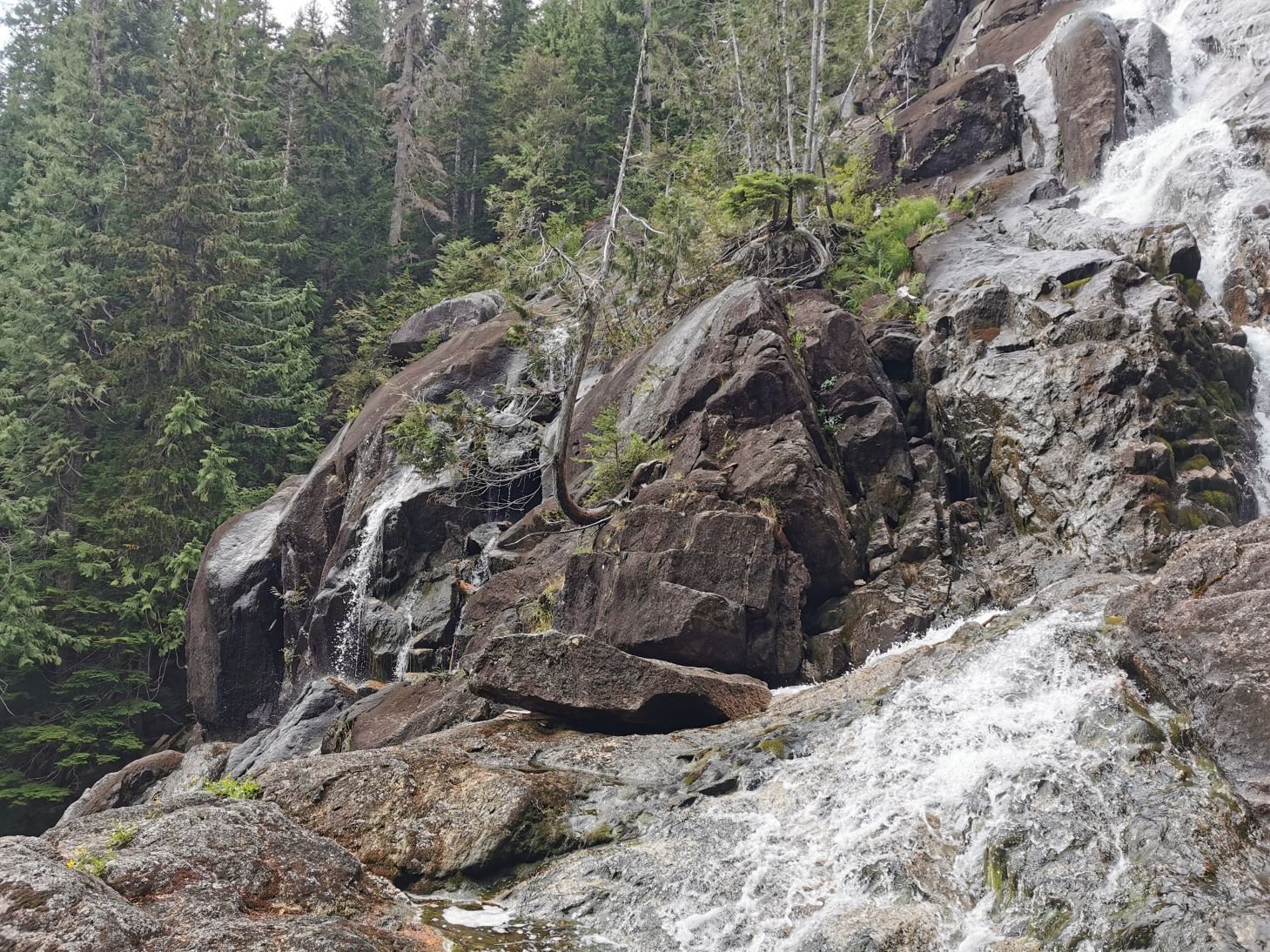 water on rock