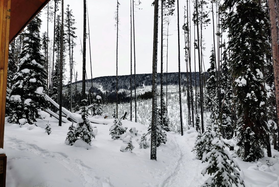 snowshoeing2
