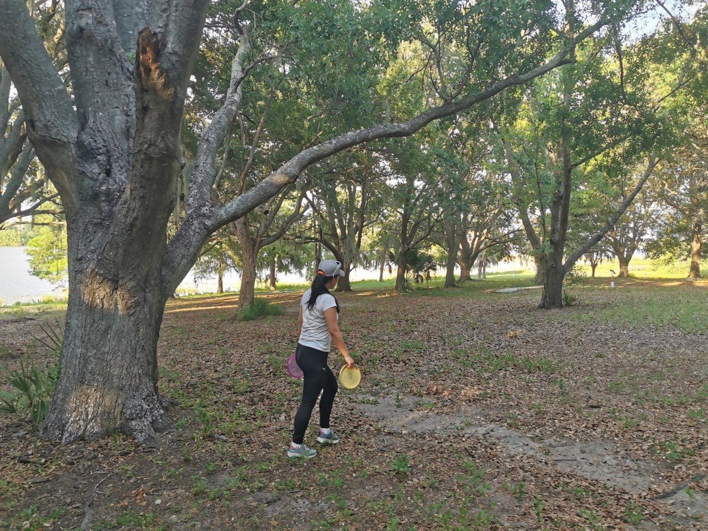 disc golf