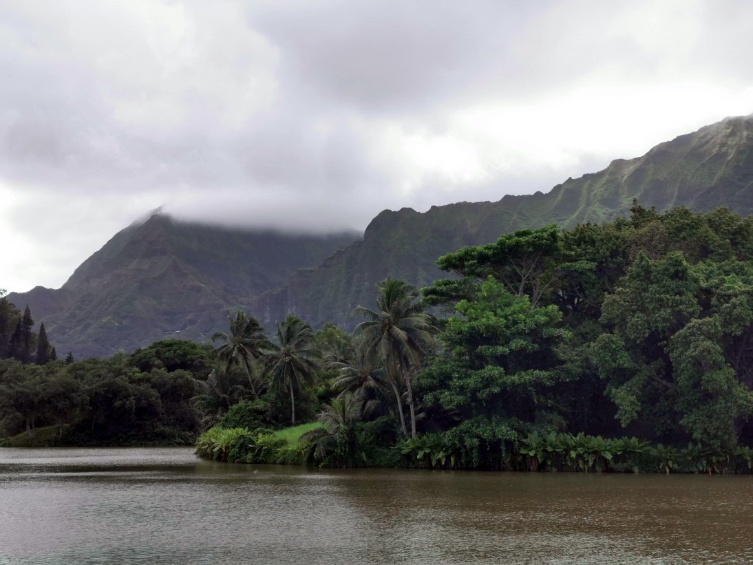 A man-made freshwater lake. Apparently the American military helped building the dam here to prevent future floodings Hoʻomaluhia Reservoir