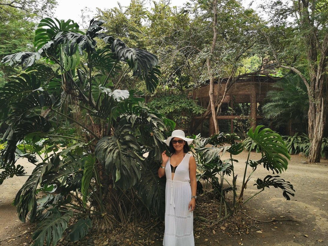Eco park JJ