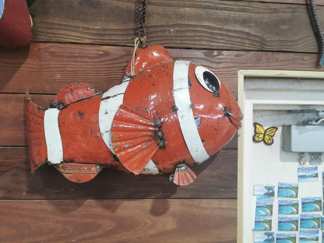 fish deco