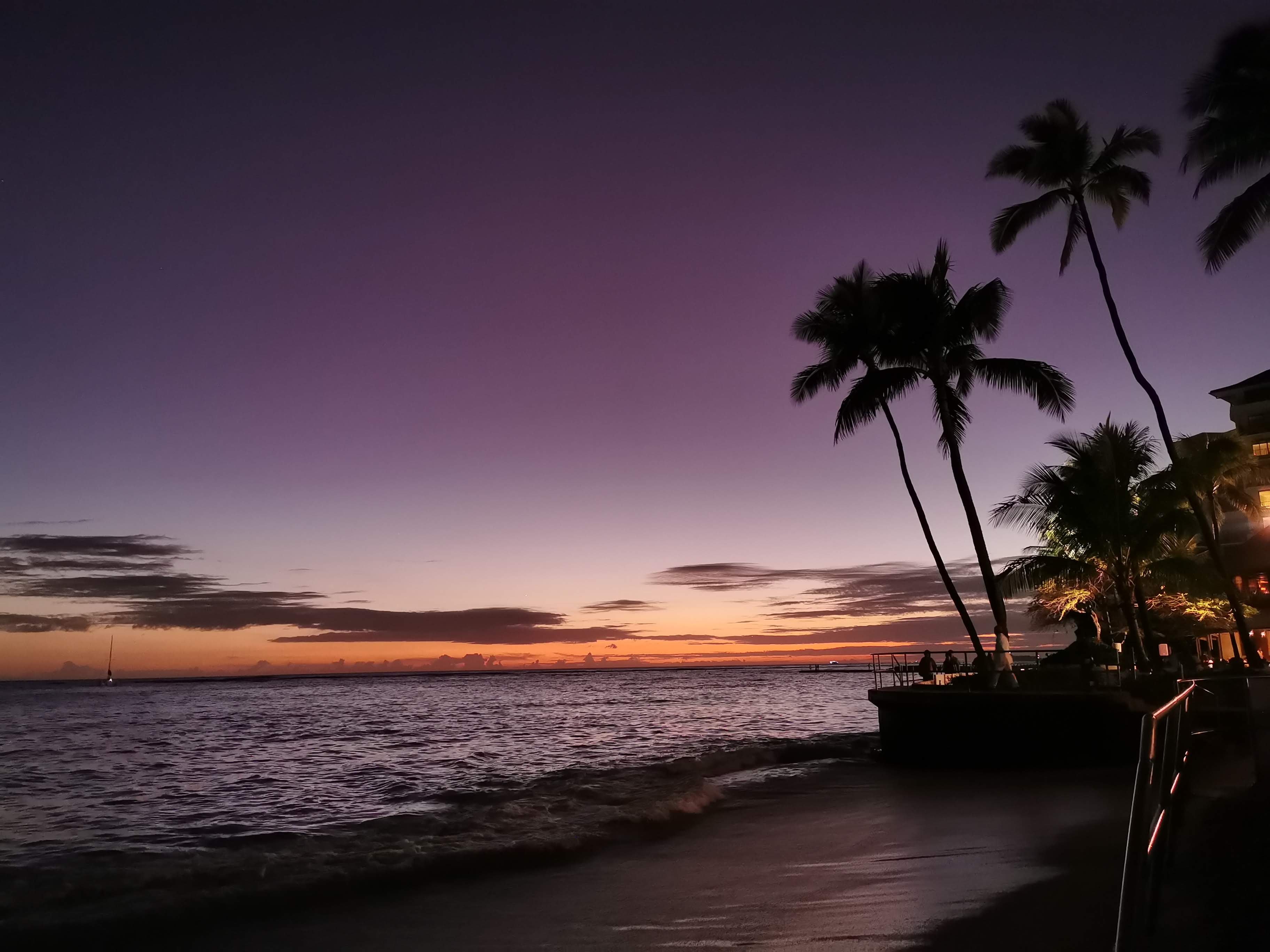 beach nightsky