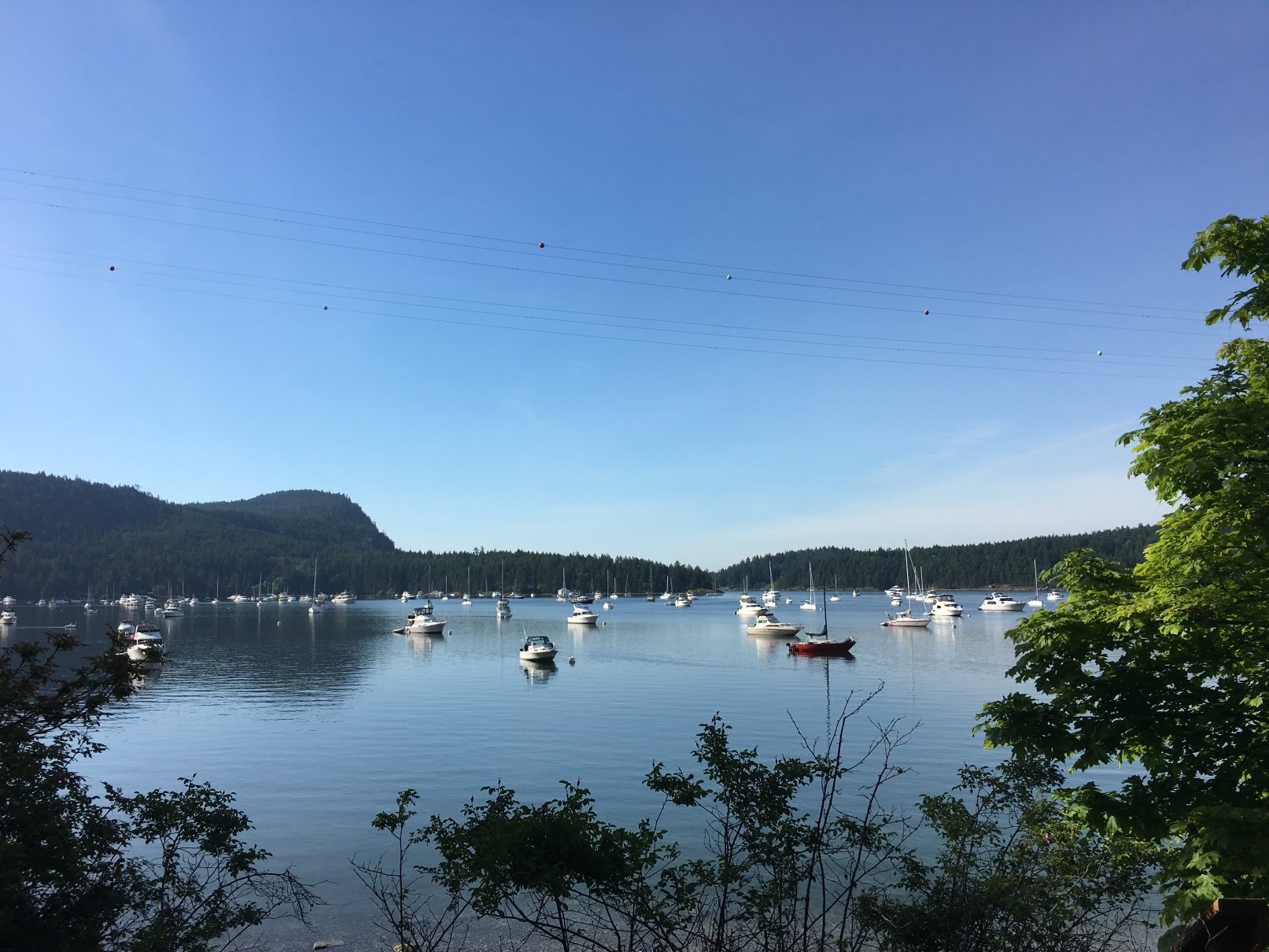 View on the Montague Harbour Marina from our tent Marina
