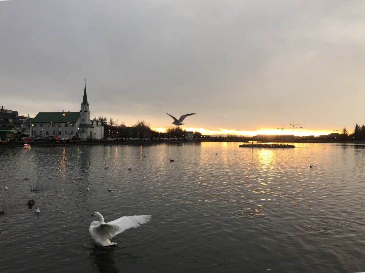 Lake next to Reykjavík City Hall