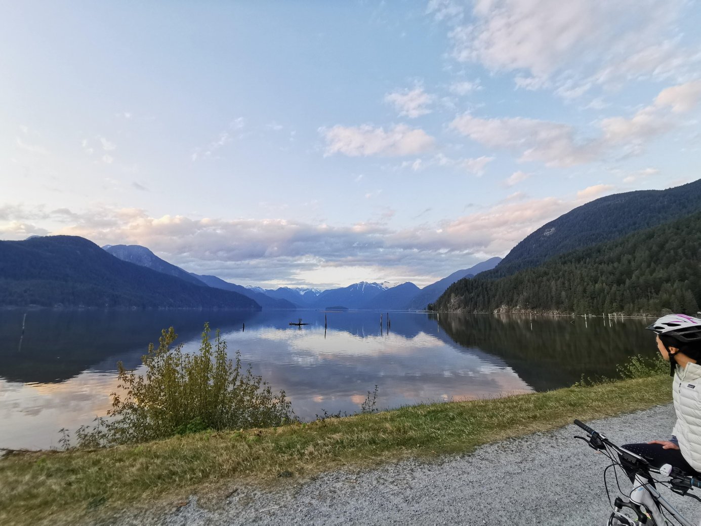 Pitt Polder Ecological Reserve north