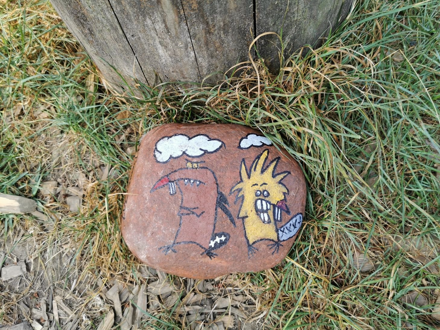 rock