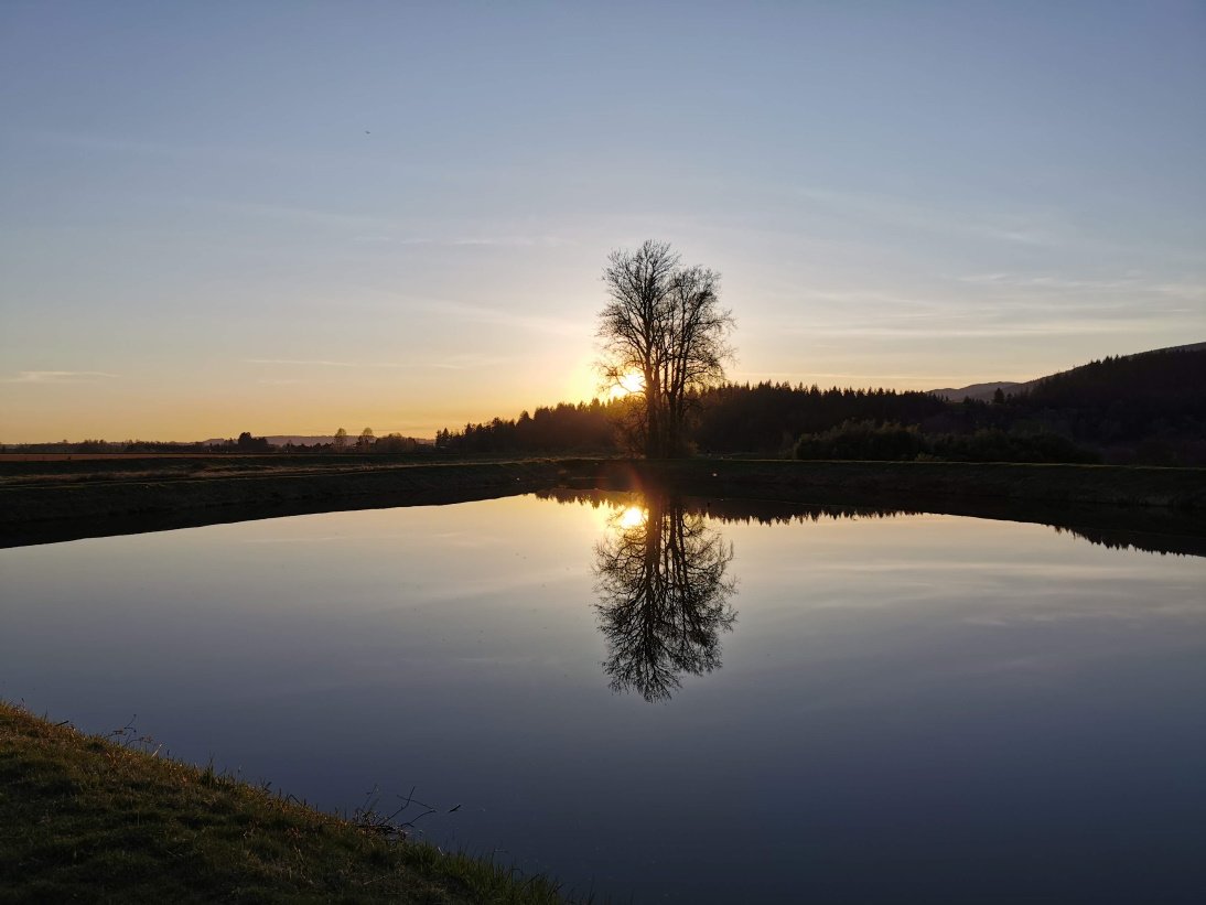 lake refelction