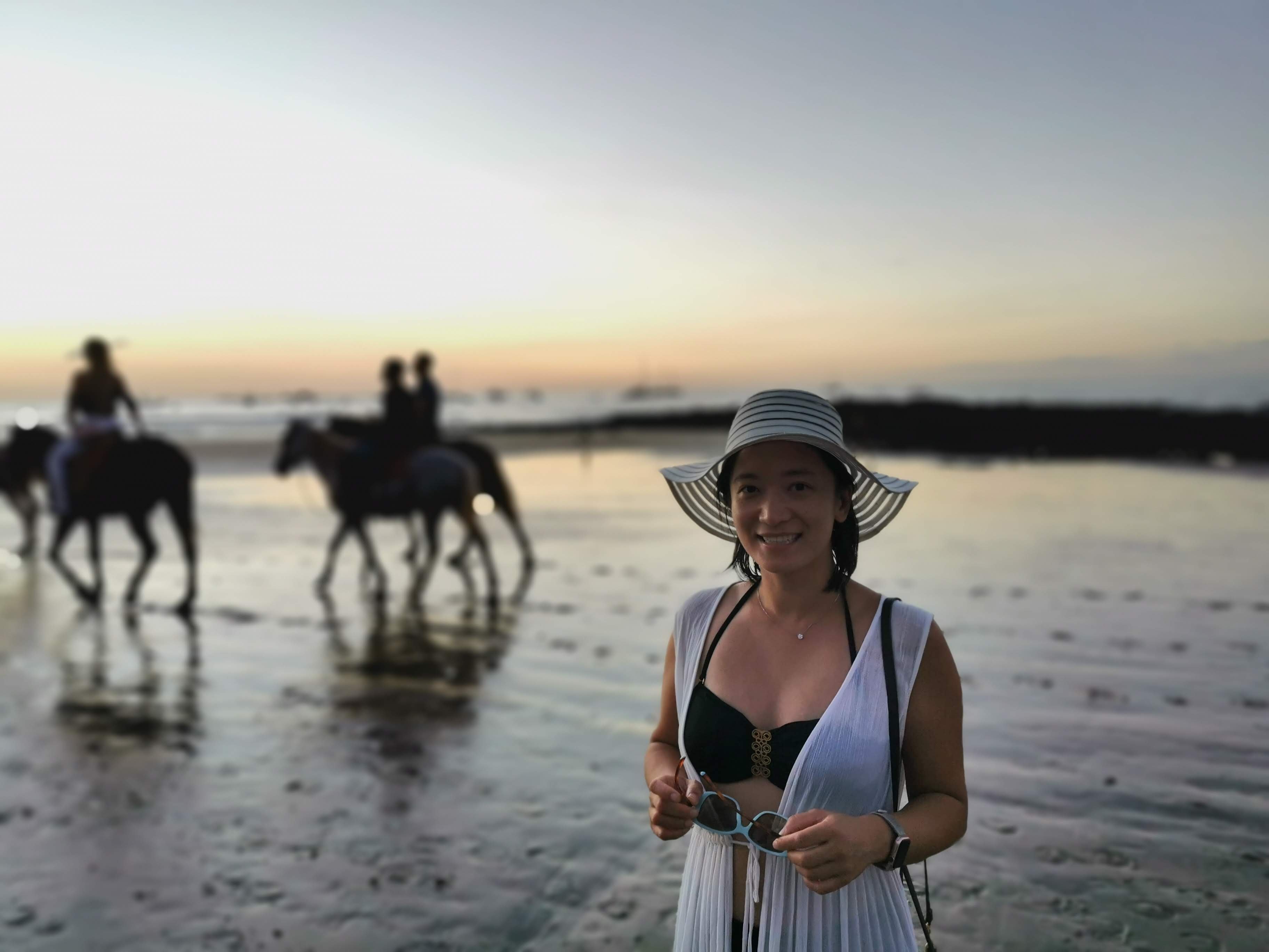horses