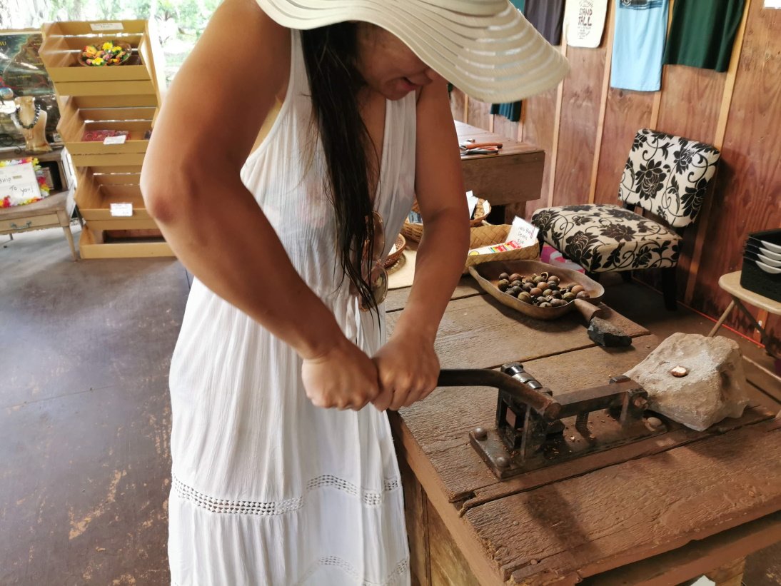 Small macademia nut farm. You can buy them in all kinds of flavours. Here JJ is trying to open the shell of one. Not that easy! macademia