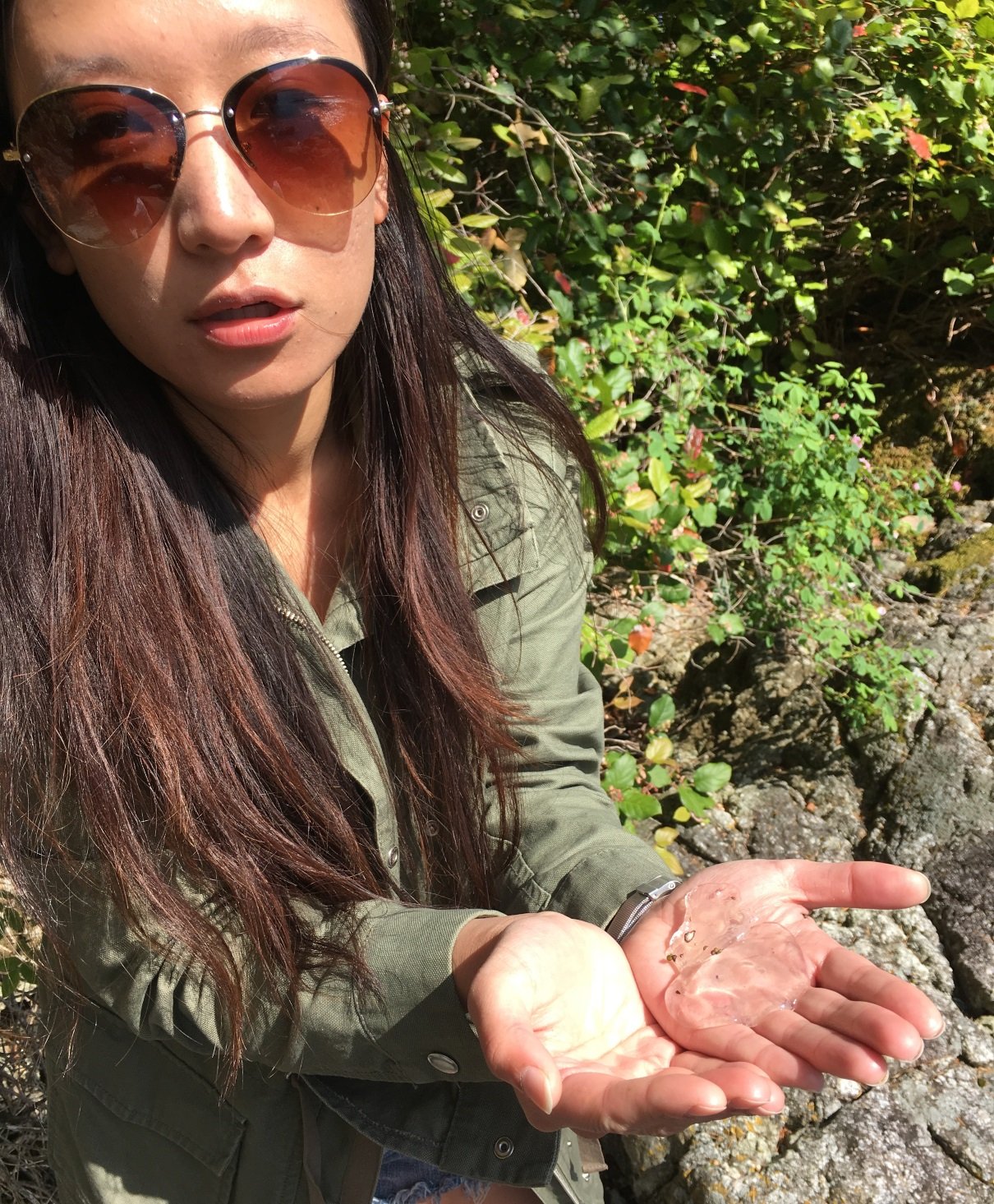 A jelly fish was in dire need of help Jelly fish