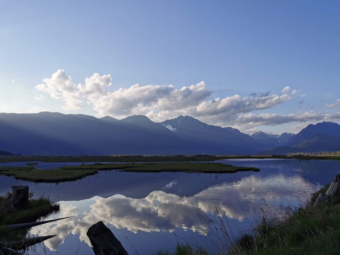 Pitt Polder Ecological Reserve1