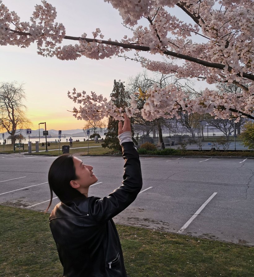 Cherry Blossom