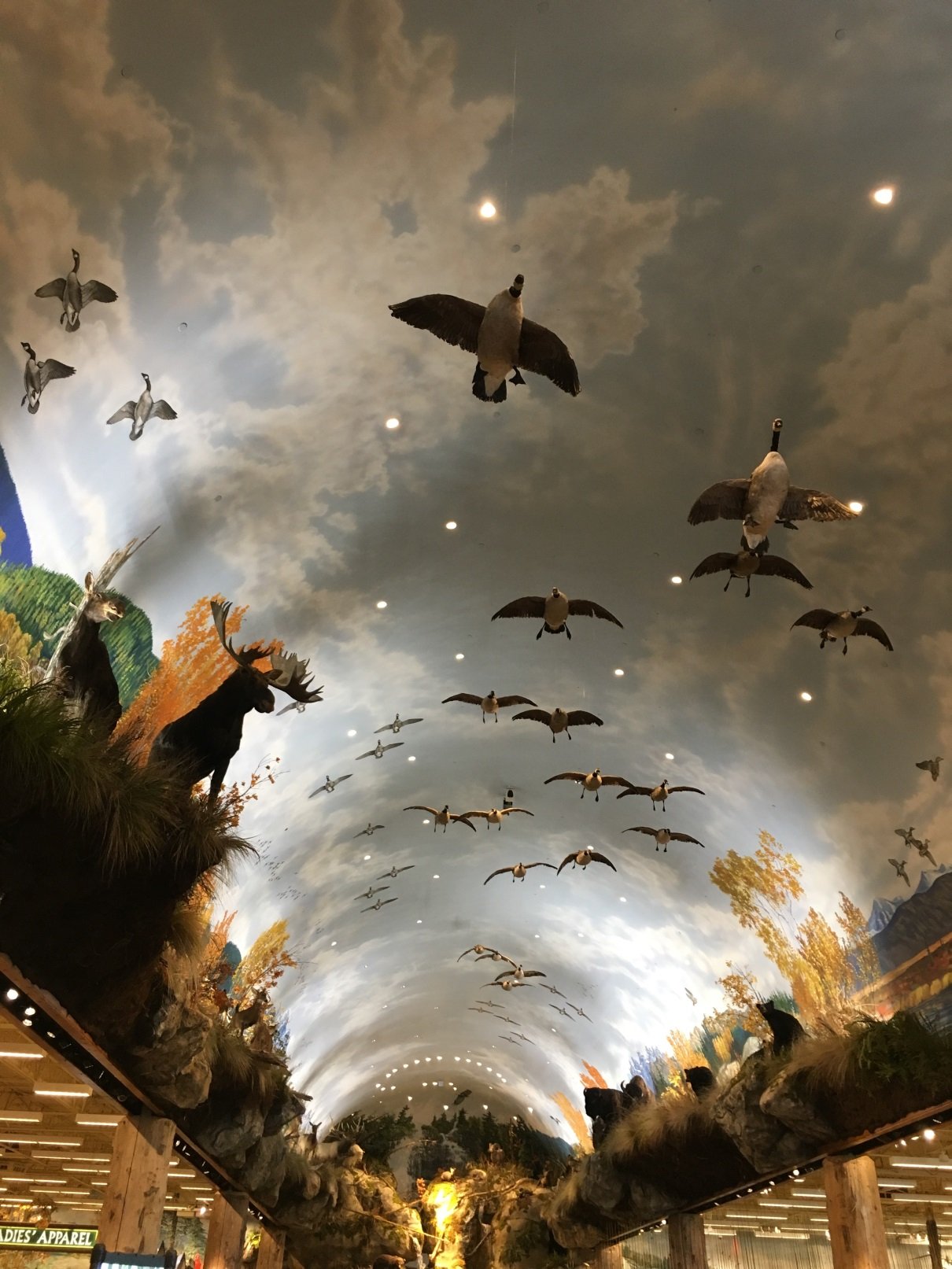 Nice artwork inside a gigantic hunting store in Tsawwassen Mill Tsawwassen Mill