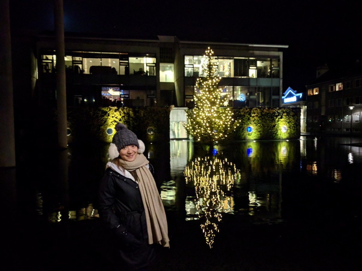 Infront of the Reykjavík Town Hall night