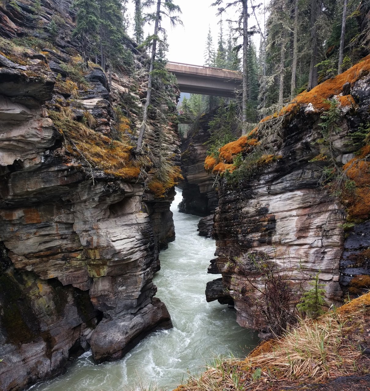Athabasca Falls