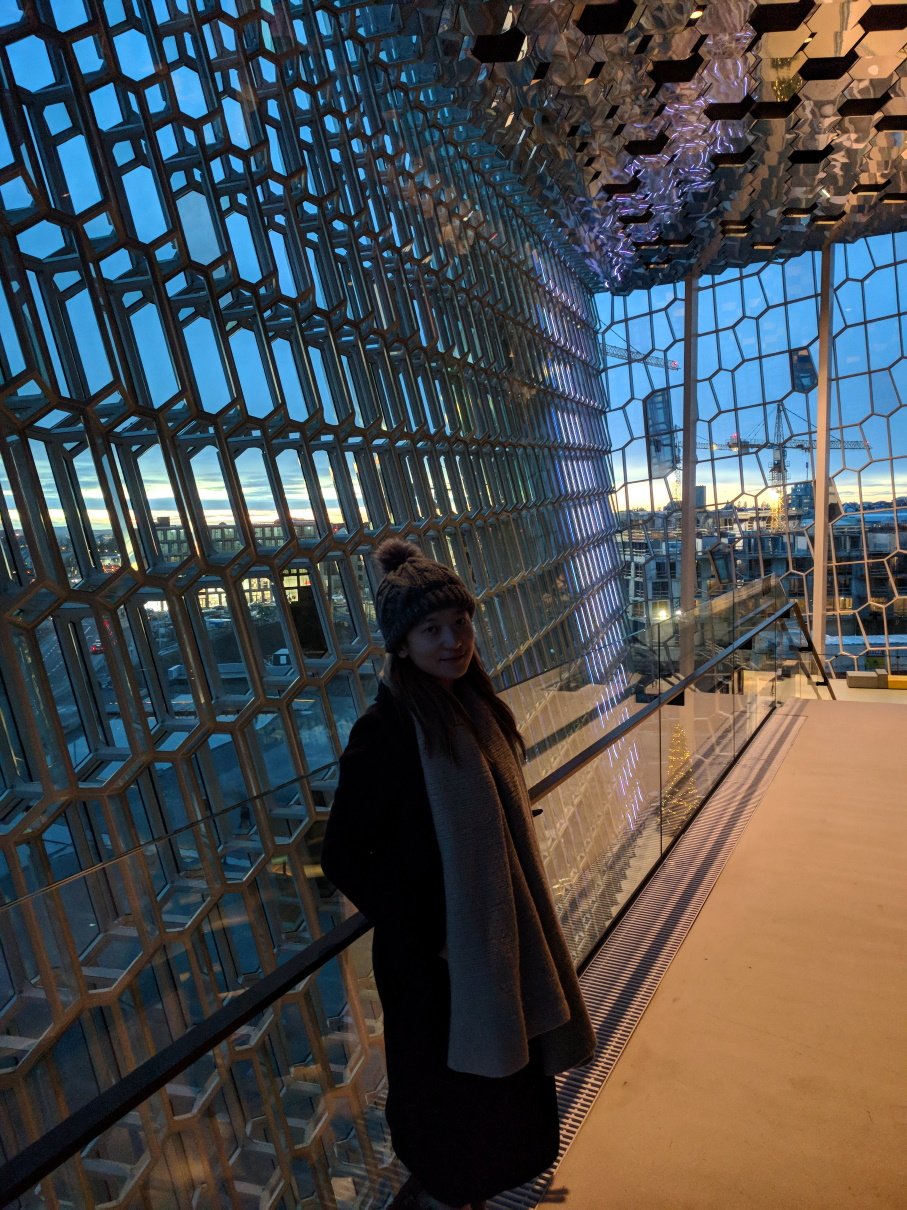 This shot was taken in the Harpa Concert Hall and Conference Centre Harpa Concert Hall