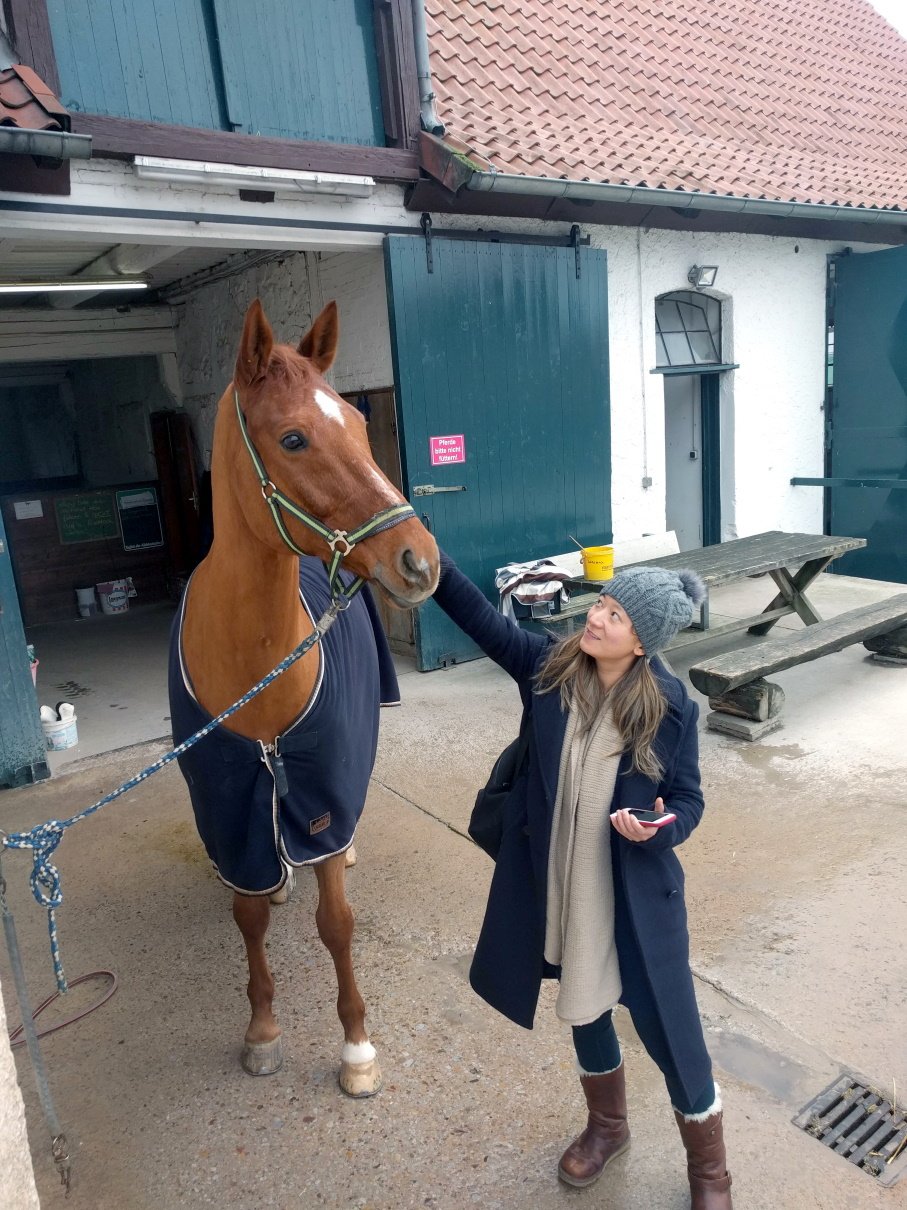 JJ meeting the horse of my sister horse