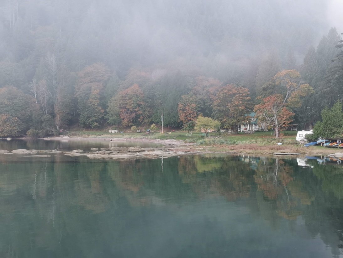 Fog