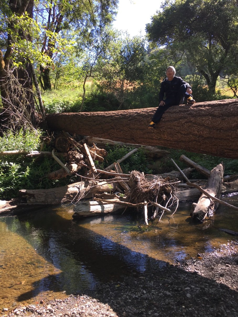 JJ Dad tree sitting